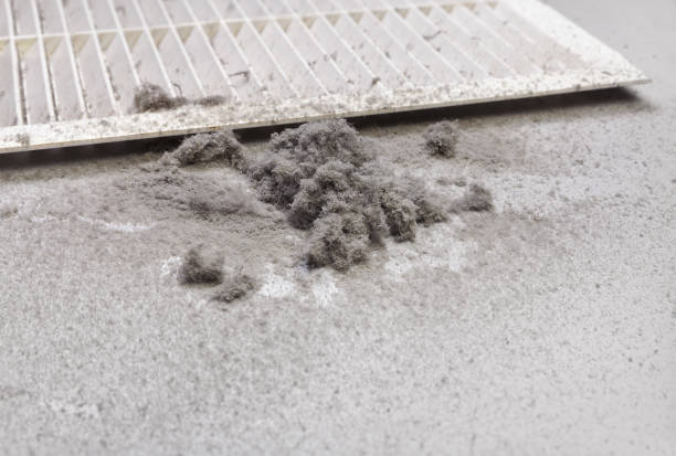 Best Affordable Air Duct Cleaning  in Alamo, CA