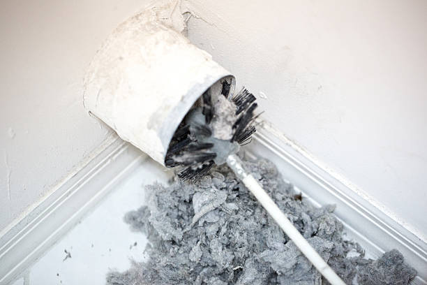 Best Ventilation Cleaning Services  in Alamo, CA